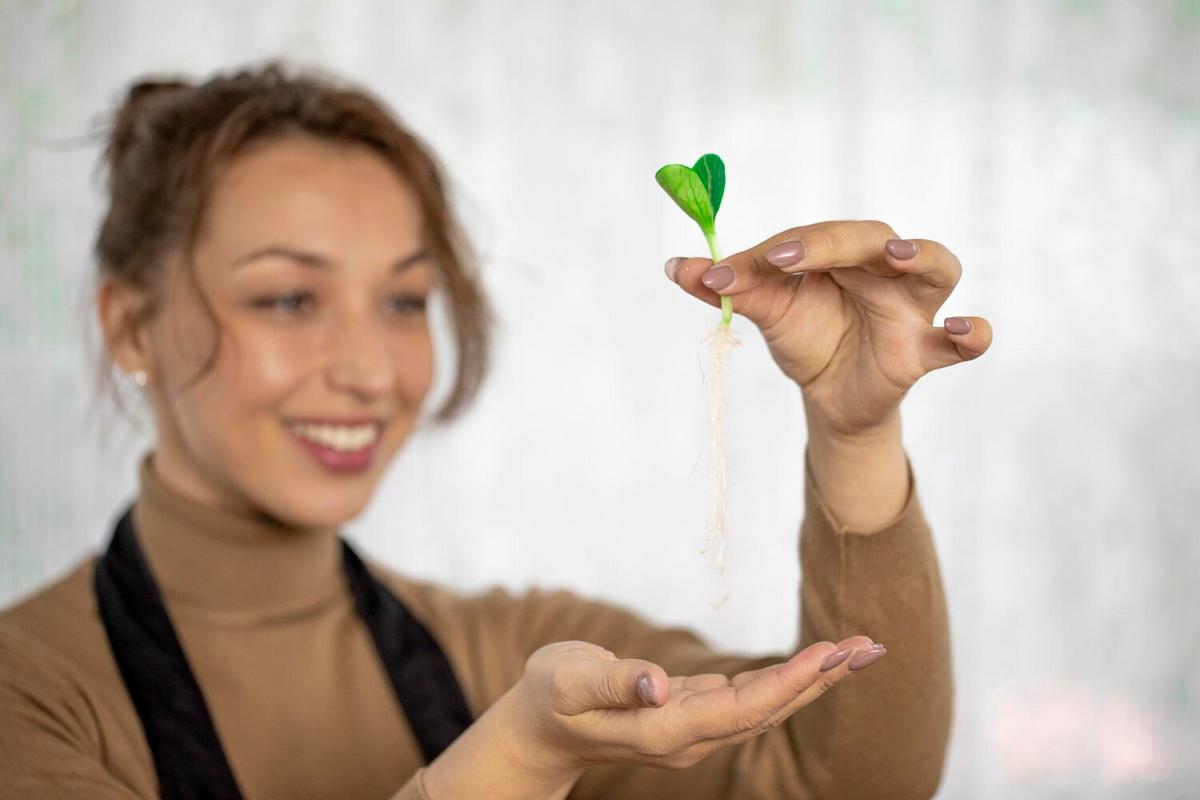 Understanding the Economic Benefits of Plant-Based Dining