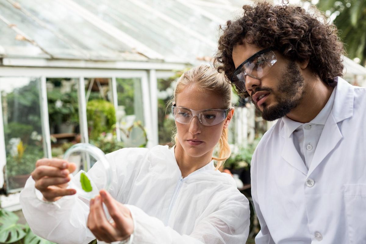 Innovations in Plant-Based Food Products You Need to Try
